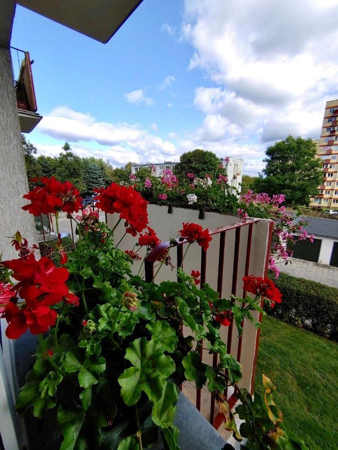 Loft House Sopot Apartament Leilighet Eksteriør bilde